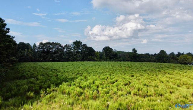 26 Acres Piney Chapel Road, Elkmont, AL 35614