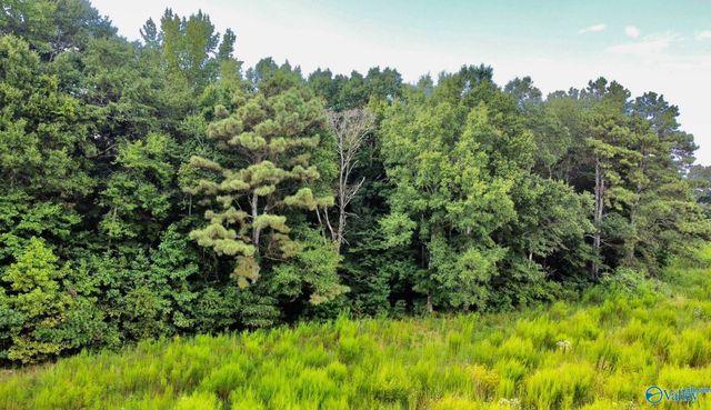 26 Acres Piney Chapel Road, Elkmont, AL 35614