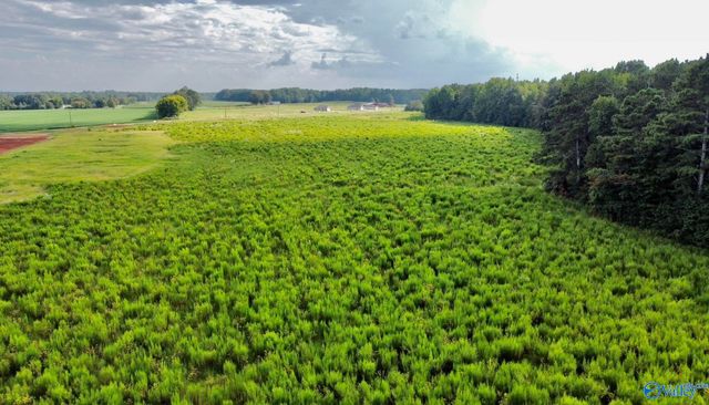 26 Acres Piney Chapel Road, Elkmont, AL 35614