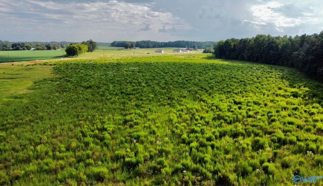 26 Acres Piney Chapel Road, Elkmont, AL 35614
