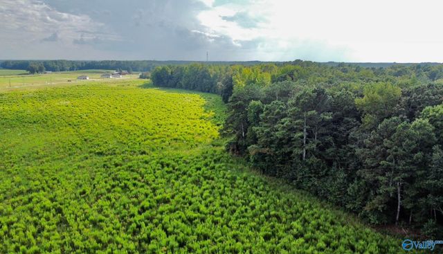 26 Acres Piney Chapel Road, Elkmont, AL 35614