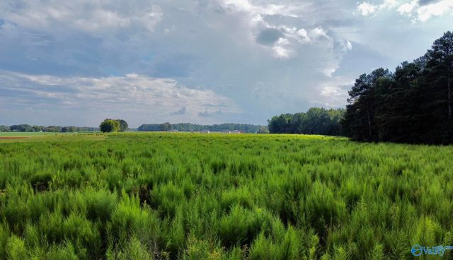 26 Acres Piney Chapel Road, Elkmont, AL 35614
