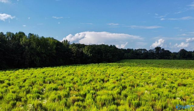 26 Acres Piney Chapel Road, Elkmont, AL 35614