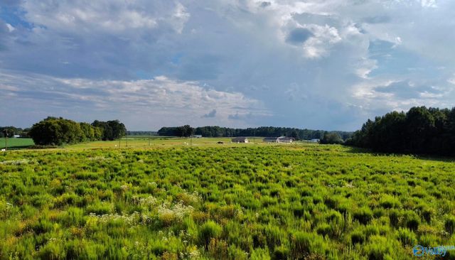 26 Acres Piney Chapel Road, Elkmont, AL 35614