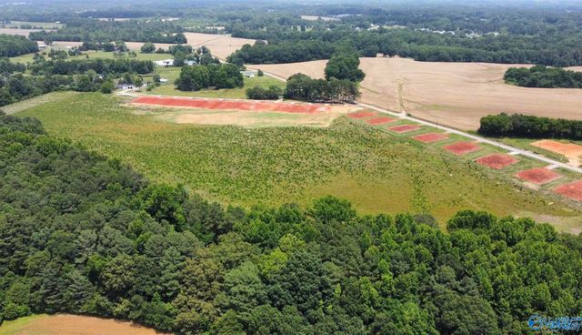 26 Acres Piney Chapel Road, Elkmont, AL 35614