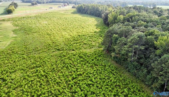 26 Acres Piney Chapel Road, Elkmont, AL 35614
