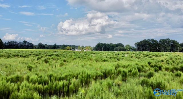 26 Acres Piney Chapel Road, Elkmont, AL 35614