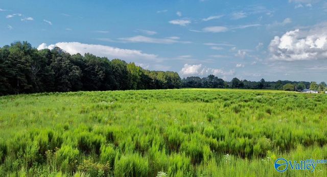 26 Acres Piney Chapel Road, Elkmont, AL 35614