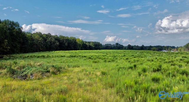 26 Acres Piney Chapel Road, Elkmont, AL 35614
