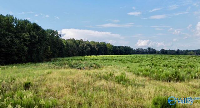 26 Acres Piney Chapel Road, Elkmont, AL 35614