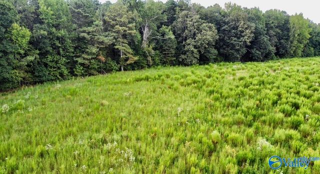26 Acres Piney Chapel Road, Elkmont, AL 35614