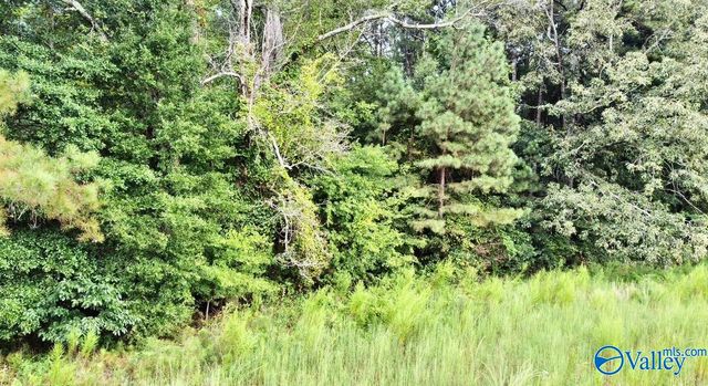 26 Acres Piney Chapel Road, Elkmont, AL 35614