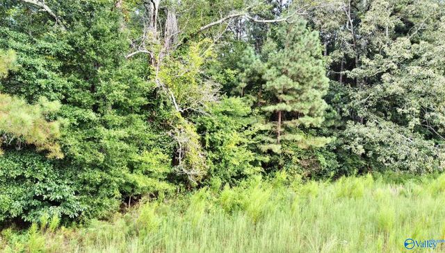 26 Acres Piney Chapel Road, Elkmont, AL 35614