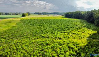 26 Acres Piney Chapel Road, Elkmont, AL 35614