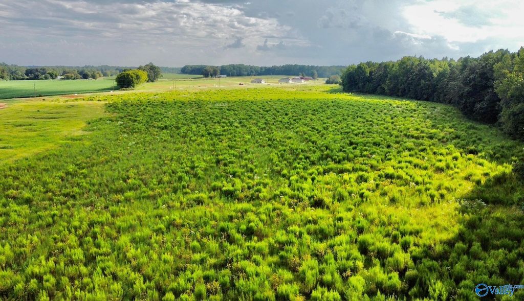 26 Acres Piney Chapel Road, Elkmont, AL 35614