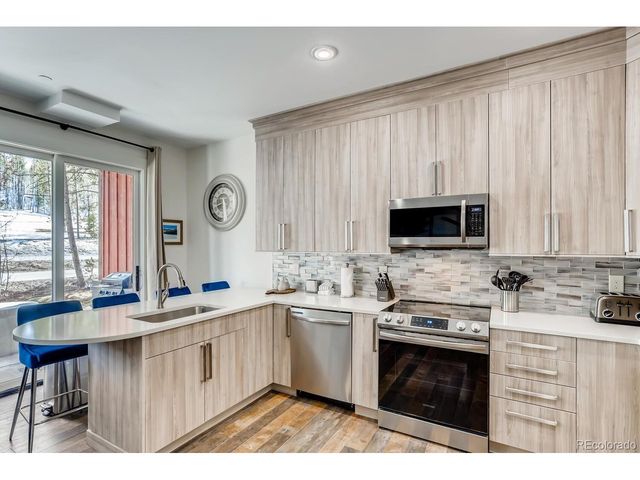 117 Lake Ridge Cir F-1865, Keystone, CO 80435