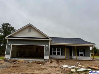 294 Lexyryan Ct, Latta, SC 29565