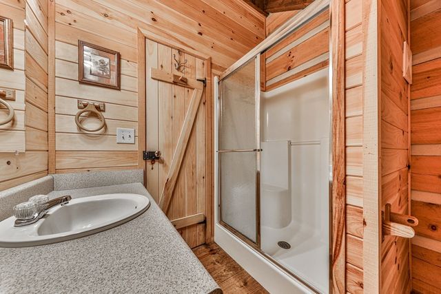 245 Weeks Creek, Blue Ridge, GA 30513