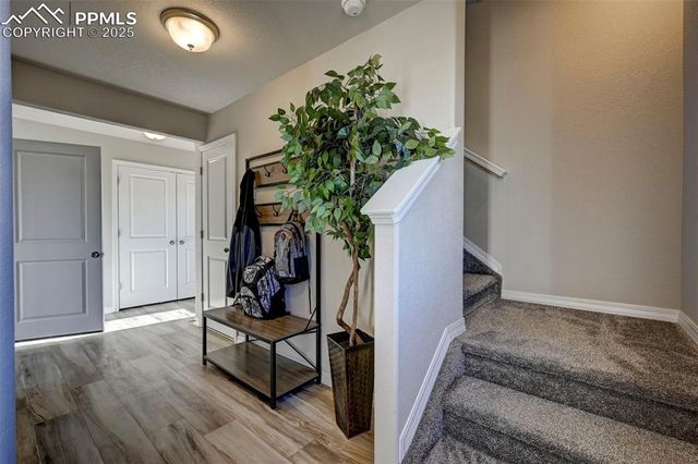 7347 Cornice Point, Colorado Springs, CO 80923