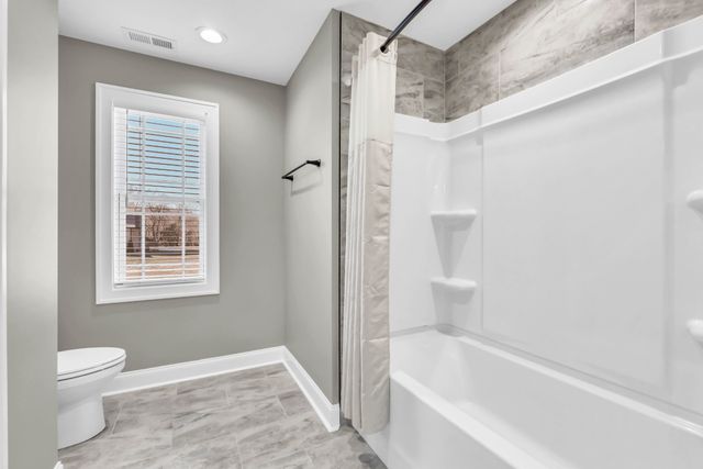 282 Martha Morgan Way, Cunningham, TN 37052