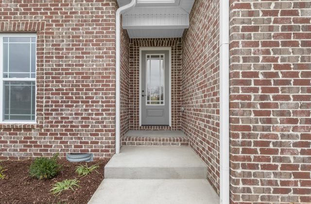 282 Martha Morgan Way, Cunningham, TN 37052