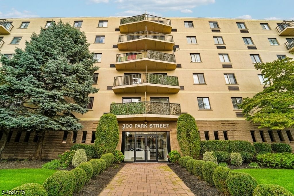 300 Park St 1F, Hackensack City, NJ 07601