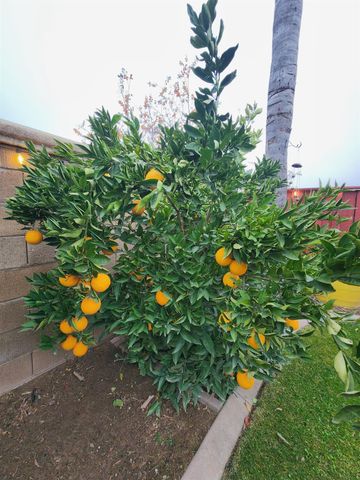 2500 Cottage Pointe Dr, Riverbank, CA 95367