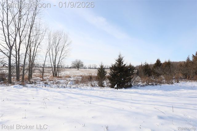 6640 Lemon Road, Bancroft Village, MI 48414