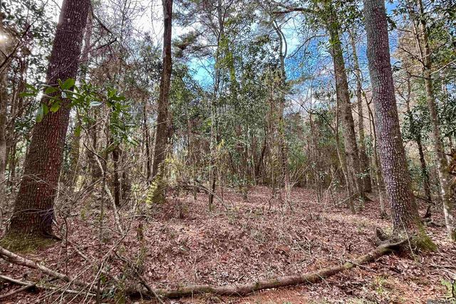 20 Lillian Ln, Ethel, LA 70730