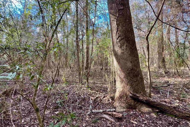 20 Lillian Ln, Ethel, LA 70730