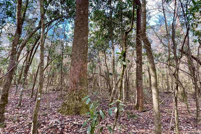 20 Lillian Ln, Ethel, LA 70730