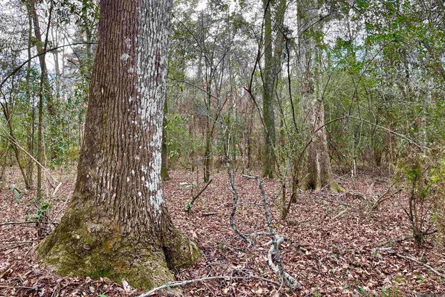 20 Lillian Ln, Ethel, LA 70730