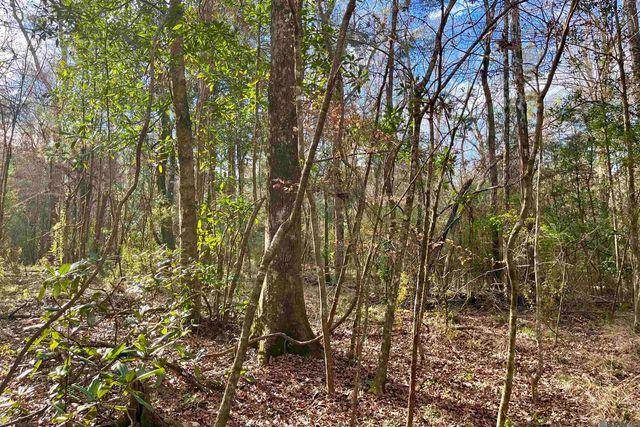 20 Lillian Ln, Ethel, LA 70730