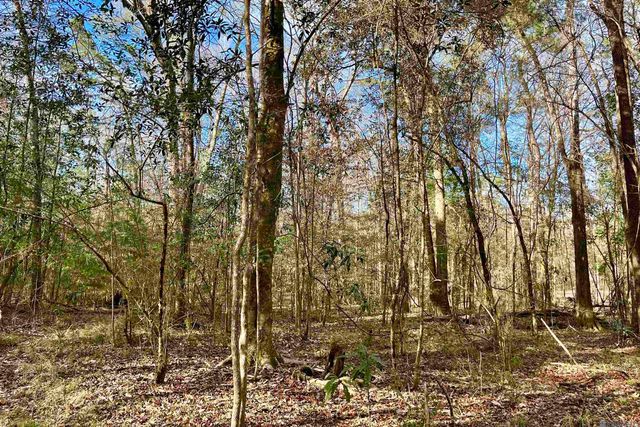 20 Lillian Ln, Ethel, LA 70730