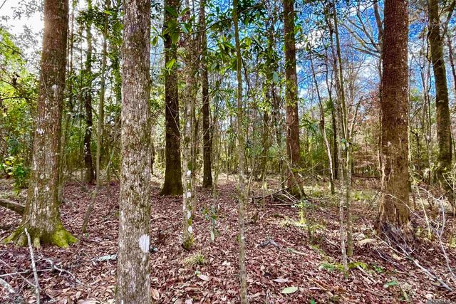 20 Lillian Ln, Ethel, LA 70730