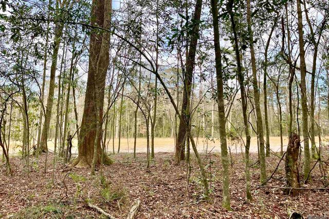 20 Lillian Ln, Ethel, LA 70730