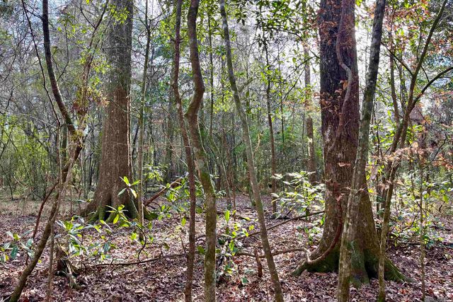 20 Lillian Ln, Ethel, LA 70730