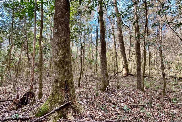 20 Lillian Ln, Ethel, LA 70730