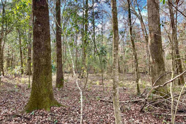 20 Lillian Ln, Ethel, LA 70730