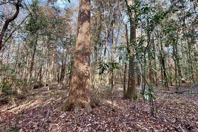 20 Lillian Ln, Ethel, LA 70730