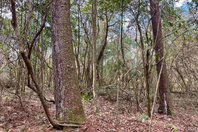 20 Lillian Ln, Ethel, LA 70730