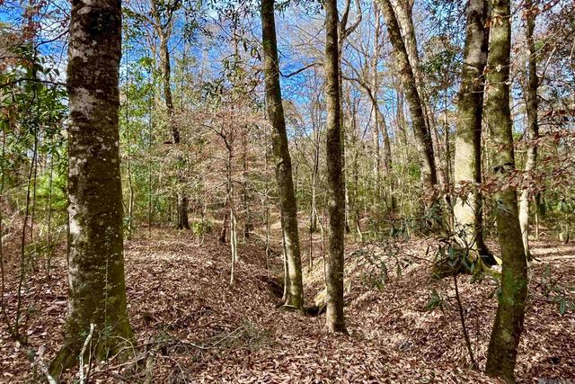 20 Lillian Ln, Ethel, LA 70730