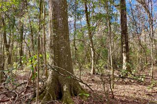 20 Lillian Ln, Ethel, LA 70730