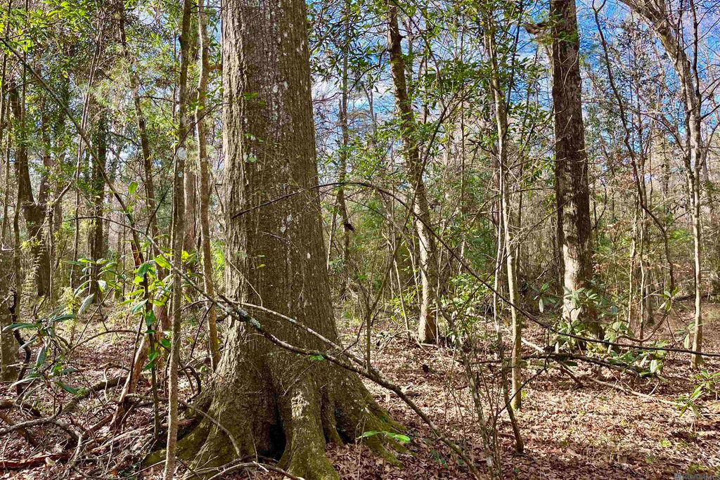 20 Lillian Ln, Ethel, LA 70730