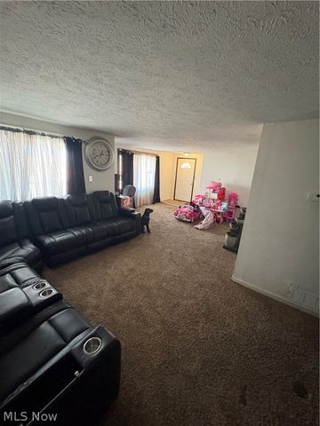 332 Arch Street, Akron, OH 44304