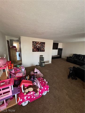 332 Arch Street, Akron, OH 44304