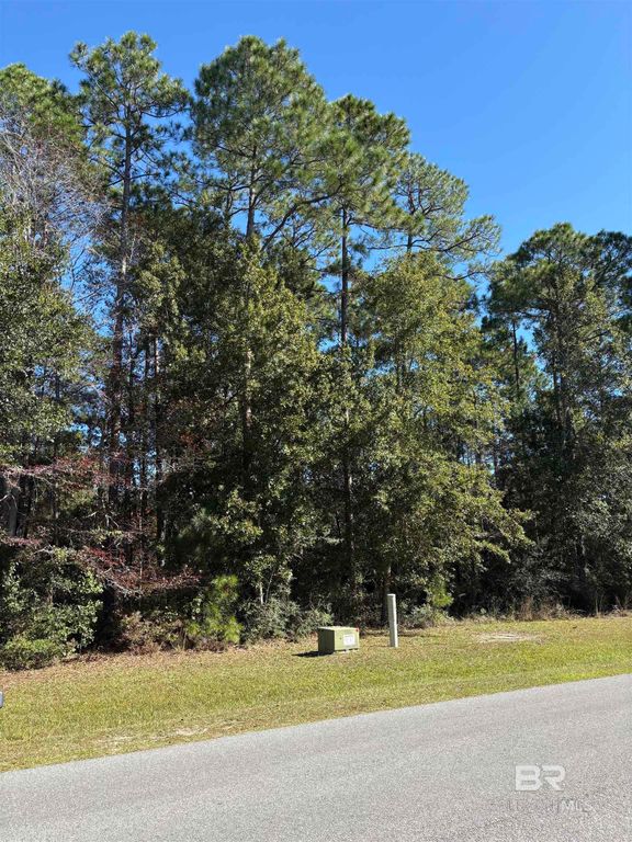 Lot 85 Treasure Oaks Road, Gulf Shores, AL 36542