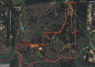 312.37 AC W Ellis Road, Griffin, GA 30223