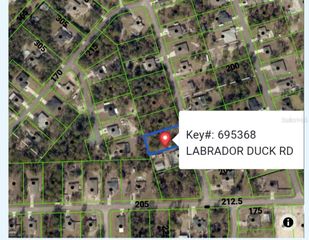 11335 LABRADOR DUCK ROAD, Weeki Wachee, FL 34614