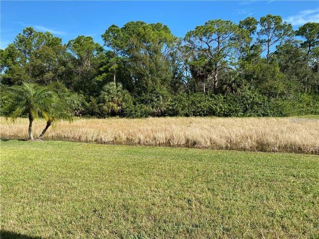 11333 QUIET FOREST DRIVE, Tampa, FL 33635